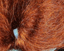 Fine Trilobal Wing Hair, Rusty Brown